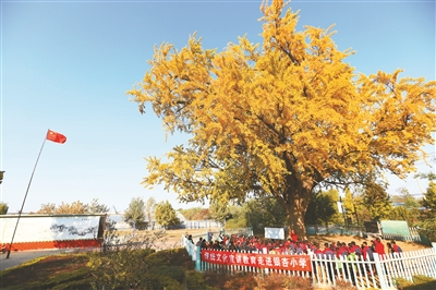 壽光：勾勒“文明實(shí)踐版圖”，延伸“幸福生活半徑”