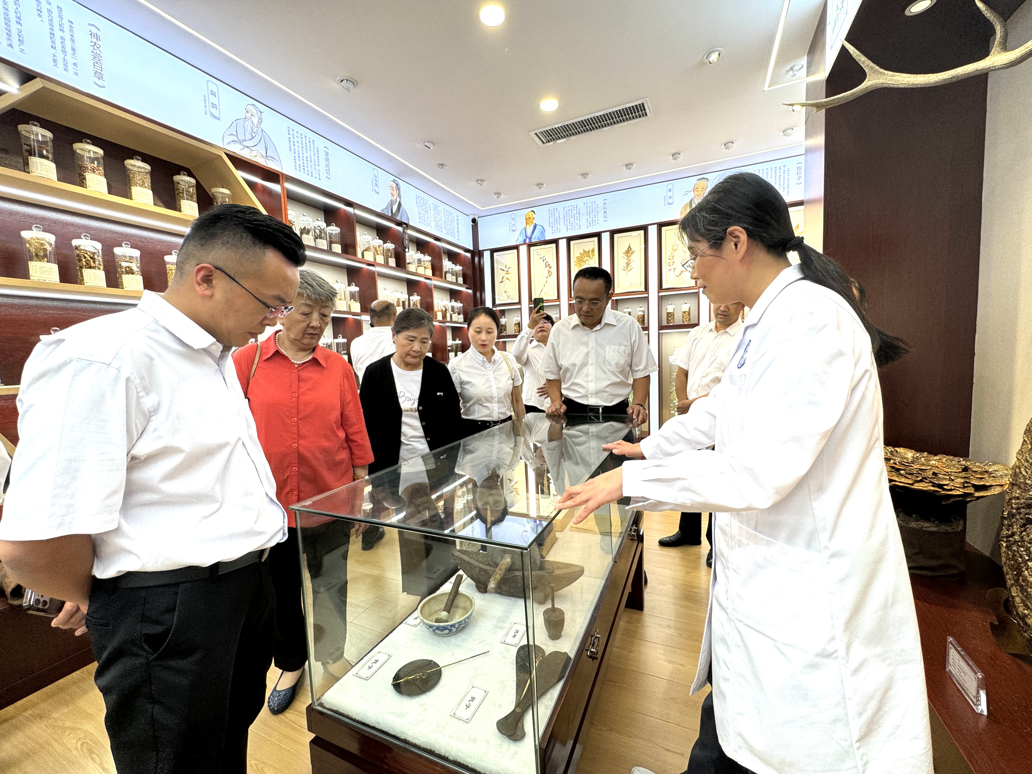 同心傳承岐黃薪火  攜手關(guān)注食藥安全——九三學社社員走進市食品藥品安全科普工作室 參觀體驗
