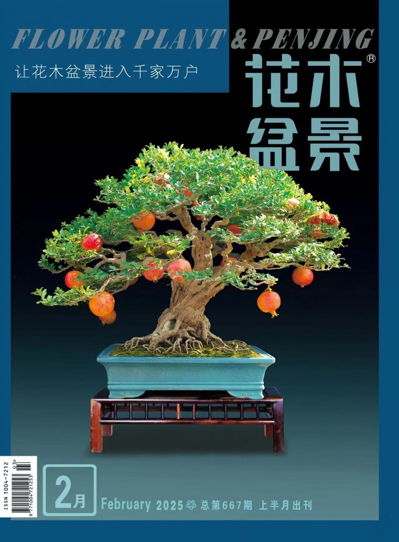 贊！棗莊石榴盆景登上國(guó)家級(jí)專(zhuān)業(yè)雜志封面