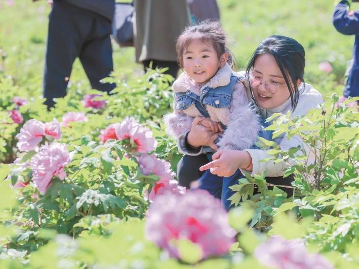 踏青賞花 樂(lè)享春光