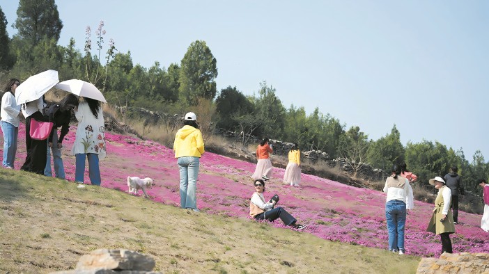 花海美景引客來(lái)